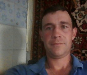 Андрей, 41 год, Нововеличковская