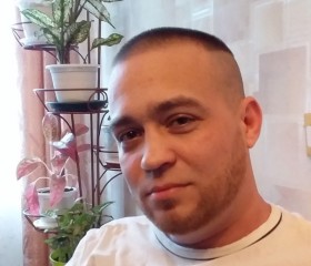 Станислав, 37 лет, Ярославль