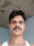 Ajay Singh, 31 год, Bilāspur (State of Uttar Pradesh)