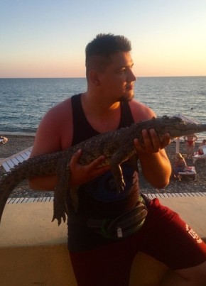 Anton, 33, Russia, Moscow