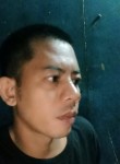 Tris tris, 36 лет, Kota Palembang