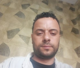 محمود الشيخ, 31, Alexandria