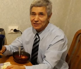 Владимир, 76 лет, Новосибирский Академгородок