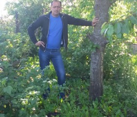 анатолий, 53 года, Михайловск (Ставропольский край)