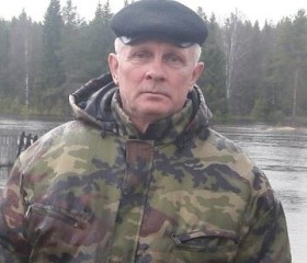 Василий, 70 лет, Архангельск