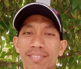 Sani, 46 лет, Phan Thiết