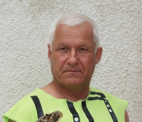Александр, 69 лет, Липецк