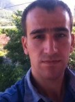 Hürrem, 33 года, Amasya