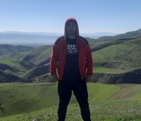 Parviz, 42, Waddinxveen