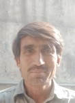 Naseer, 28 лет, ہری پور