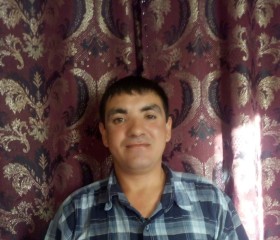 Владимир, 42 года, Михайловка (Волгоградская обл.)
