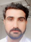 Syed Safdar Huss, 36 лет, IGoli