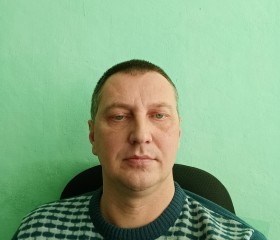 Сергей, 47 лет, Тула