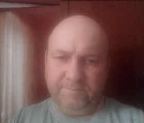 Николай, 52 года, Дубовское