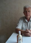 Вячеслав Д, 75 лет, Тольятти