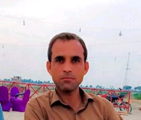 Ali bhutto, 36 лет, لاڑکانہ