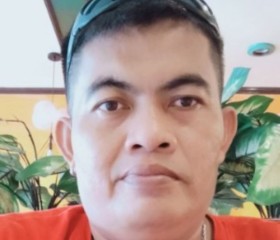 Noy, 42 года, Lungsod ng San Fernando (Gitnang Luzon)