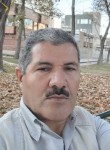 Mostafa, 39 лет, مَه آباد