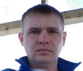 Станислав, 38 лет, Нижняя Тавда