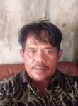 Edinurcan, 45 лет, Djakarta