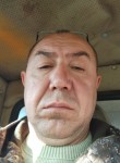 Роман - Шумиха
