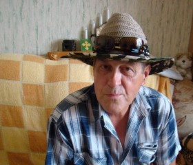 Сергей, 70 лет, Воронеж