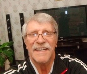 Михаил, 69 лет, Челябинск