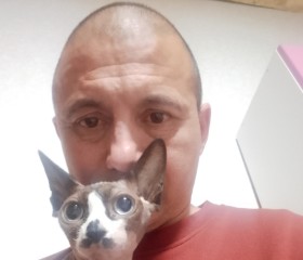 Sergey, 51, Lodeynoye Pole