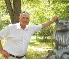 Петро, 70 лет, Миколаїв (Львів)