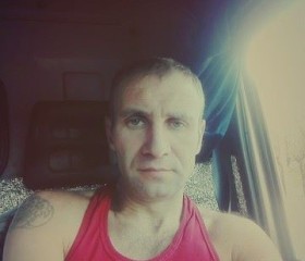 Михаил, 46 лет, Бабруйск