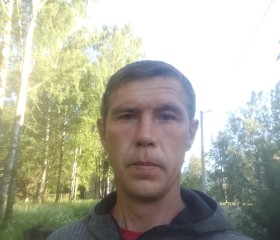 Андрей, 39 лет, Молоково