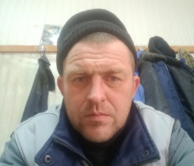 Леонид, 42 года, Краснодар