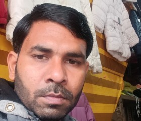 Shahid Ansari, 25 лет, Kairana