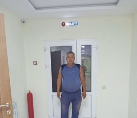Бауыржан, 59 лет, Мартук