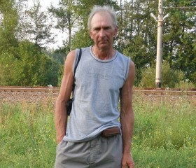 Leonid, 62, Kolpino