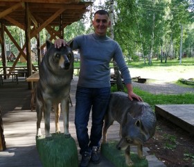 Андрей Игошин, 43 года, Томск