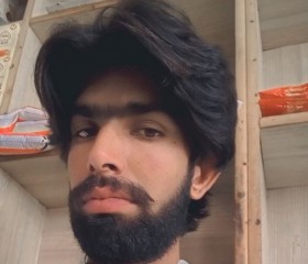 Zain bukhari, 23 года, فیصل آباد