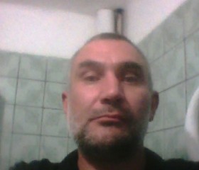 Андрей, 44 года, Мукачеве