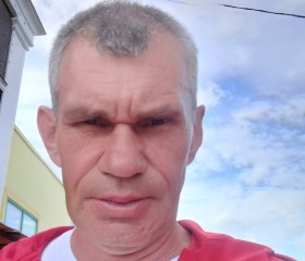 Александр Сухов, 55 лет, Павлово