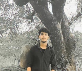 Dilavar, 19 лет, Ahmedabad