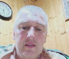 Роман, 51 год, Ульяновск