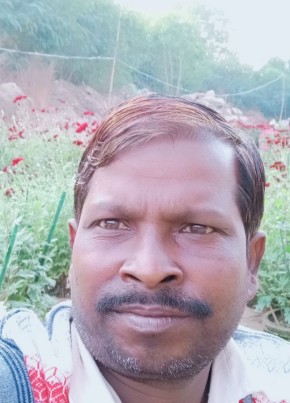 ashok, 36, India, Delhi