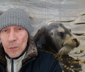 Федор, 45 лет, Североморск