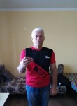 Анатолий, 65 лет, Тольятти