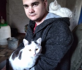 Сергей, 30 лет, Лубни