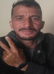 Pedro, 45 лет, Região de Campinas (São Paulo)