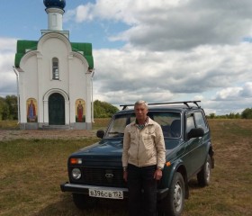 Виктор, 70 лет, Нижний Новгород