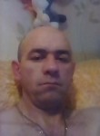 Владимир, 44 года, Змеиногорск