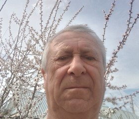 Viktor, 71, Moscow