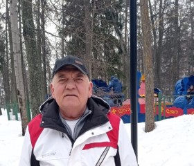 Юрий, 65 лет, Саров